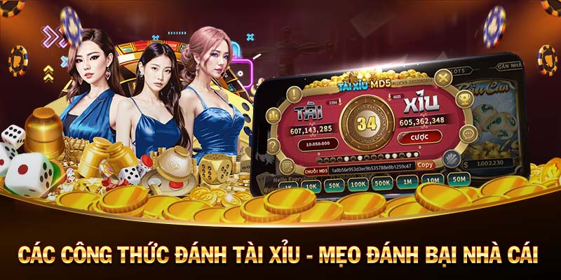 dạy đánh bài poker tuấn